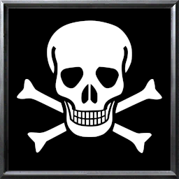 ReplaceableTextures/CommandButtons/BTNPirateFlag256.dds